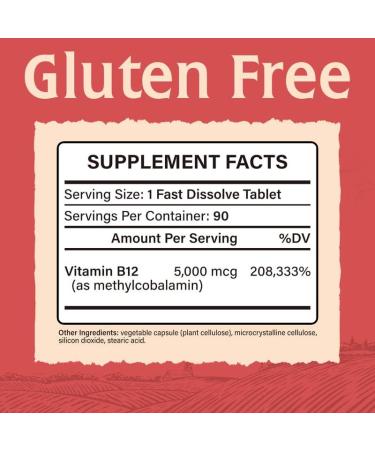 Elixeed Vitamin B12 5000mcg Methylcobalamin 90 Fast Dissolve Tablets - Blood Function, Energy & Nerve Support - Peach Flavor, Vegan & Non-GMO - Buy Online on GoSupps.com