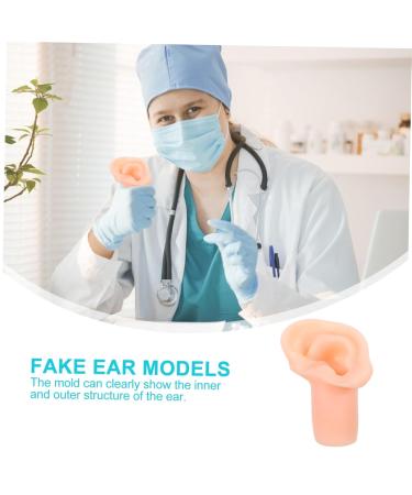 Beavorty Silicone Ear Mold | Imitation & Simulation Ear Mold for Perfect Fit - International Shipping Available - Buy Online on GoSupps.com