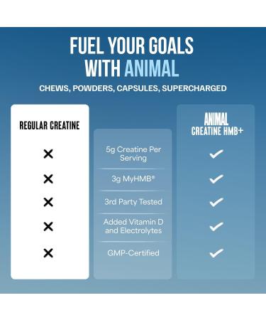 Animal Creatine HMB Powder 3g myHMB + 5g Creatine with Electrolytes for Recovery & Daily Energy Unflavored 30 Servings - Buy Online on GoSupps.com