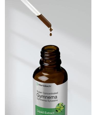 Horb ach Gymnema Sylvestre Liquid Extract | 2 fl oz | Alcohol Free Drops | Super Concentrated Supplement Tincture | Vegetarian Non-GMO Gluten Free - Buy Online on GoSupps.com
