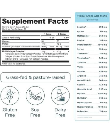 Ancient Nutrition Bone Broth Protein Powder Vanilla 40 Servings + Multi Collagen Protein Powder Vanilla 60 Servings - Buy Online on GoSupps.com