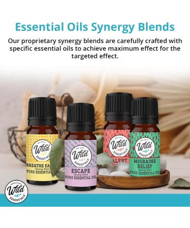 Wild Essentials Focus 100% Pure Essential Oil Synergy Blend - 10ml Therapeutic Grade for Mental Clarity Study & Work - USA Made - Buy Online on GoSupps.com