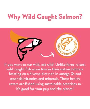 Shameless Pets Salmon Loves Butternut Jerky Bites Dog Treat 142 g Salmon/Butternut Squash - 142 g Jerky Bites - Buy Online on GoSupps.com