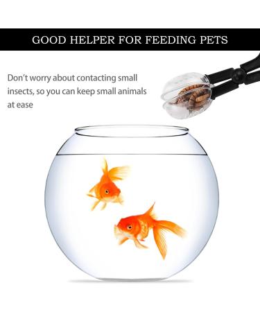 3 Pack Reptile Feeding Clips Reptile Feeding Tools Amphibian Feeding Clips Pet Plastic Feeding Clips for Hamsters Lizards Spiders Bearded Dragons (Black) - Buy Online on GoSupps.com