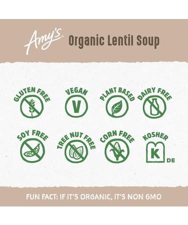 Organic Lentil Vegan Soup 14.5 oz (Pack of 12) - Gluten-Free and Delicious - Buy Online on GoSupps.com