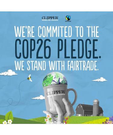 Clipper Organic Pure Green Tea Bags | Box of 40 Teabags | Organic Tea for Home & Office | Eco-Conscious Fair Trade Tea | Natural Unbleached Plant-Based Compostable & Biodegradable Tea Bags - Buy Online on GoSupps.com