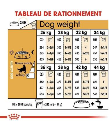 Pasteur Adult Royal Royal Canin German 24 11kg 11000 g - Buy Online on GoSupps.com