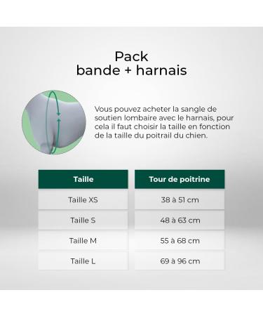 Ortocanis - Dog Back Belt Lumbar Fixation for Knee Brace Belt Only Size XS - Buy Online on GoSupps.com