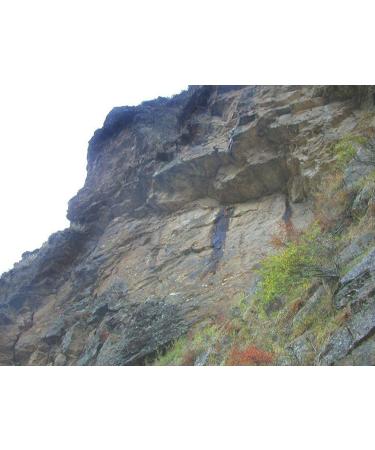 Buy Dragon Herbs High Mountain Shilajit 450mg - 60 Capsules for Energy & Vitality - Buy Online on GoSupps.com