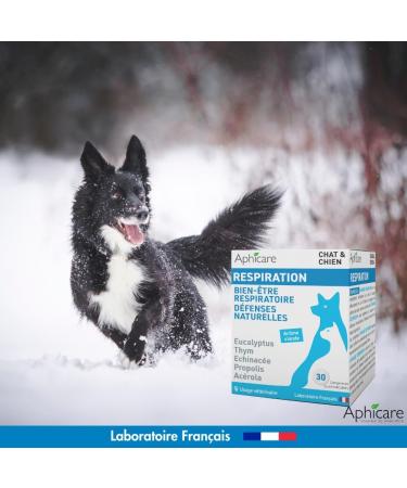 APHICARE - Respiration - 30 tablets - Respiratory comfort - Eucalyptus - Thyme - Echinacea - Food supplement for dogs and cats - Made in France - Buy Online on GoSupps.com