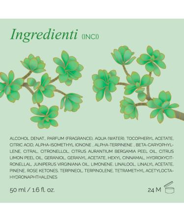 L'Erbolario Jade Plant - Notes Of Bergamot Jade Flower And Lemon - Floral Fragrance For Women - Reflects Radiance - Offers Charm And Positive Energy - Long Lasting Wear - 1.6 Oz EDP Spray - Buy Online on GoSupps.com