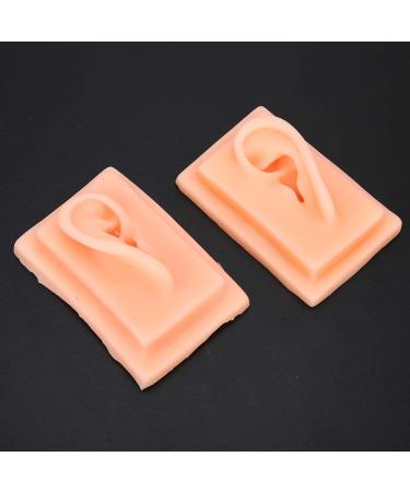 Acupuncture Ear Model for Practice | 2-Piece Set | Smooth Texture | Ideal for Students - Buy Online on GoSupps.com