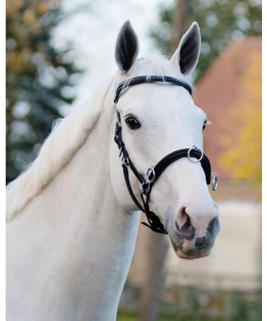 NETPROSHOP Leather Cavesson Lunging Aid for Groundwork - Black Size Pony Cob Full XFull | International Shipping Available - Buy Online on GoSupps.com