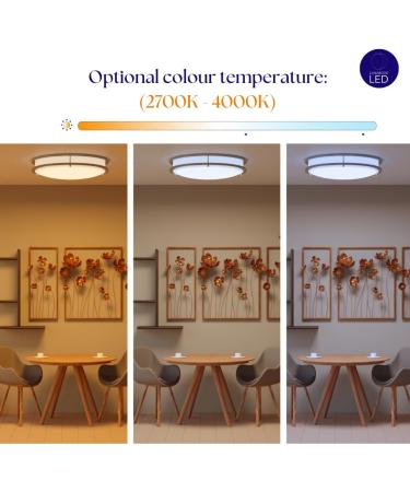 Flush Mount Ceiling Light | Double Ring LED Fixture | 22W 1800lm Warm White 2700K | Brushed Nickel | Ideal for Kitchen & Bedroom | International Shipping Available - Buy Online on GoSupps.com