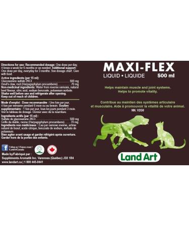 HIPS & Joints Pain Relief for Pets - Natural Formula with Glucosamine with Anti-Inflammatory Extract Natural Beef Flavor - 500ml GMO Free Gluten Free Sugar Free - Made in Canada - Buy Online on GoSupps.com