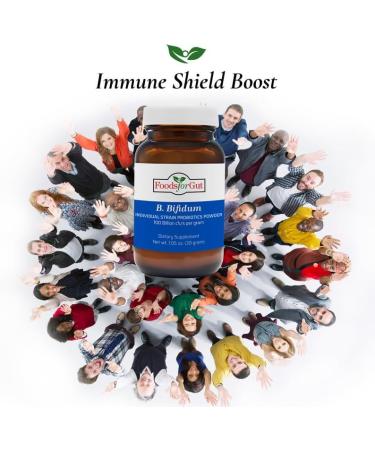 Foods For Gut Bifidobacterium Bifidum Probiotic Powder 100 Billion cfu's | Made in USA | No Additives | Digestive & Immune Support | High Potency | B. Bifidum | 30 Grams (1.05 Oz) 1.05 Ounce (Pack of 1) - Buy Online on GoSupps.com