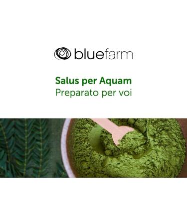 BLUE FARM | Laminaria seaweed in powder 2000 gr micronized and super ventilated. 100% pure natural original and untreated product. - Buy Online on GoSupps.com