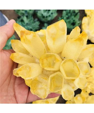 Natural Yellow Ghost Phantom Quartz Crystal Cluster Healing Specimen Home Decoration Office Living Room Crystal Decora Reiki Crystals Crystal Cluster (Size : 350-400g) - Buy Online on GoSupps.com