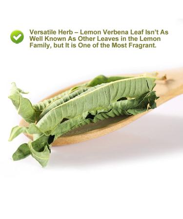 Organic Lemon Verbena Leaves 20G/0.7oz - GMO Free, Caffeine Free Herbal Tea - Buy Online on GoSupps.com