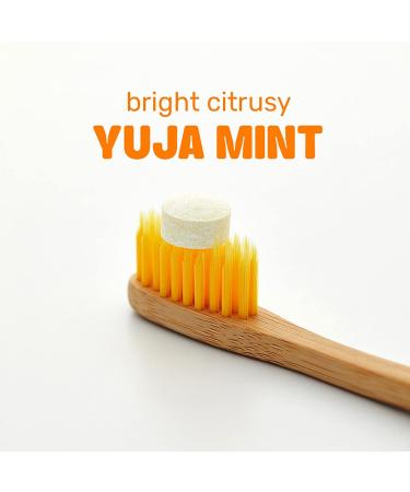 Dr. NOAH O-Bits Xylitol Toothpaste Tablets with Fluoride | Citrus Yuja Mint Flavor | 30 Tabs | Eco-Friendly Zero Waste Toothpaste for Travel, Camping & Fishing - Buy Online on GoSupps.com