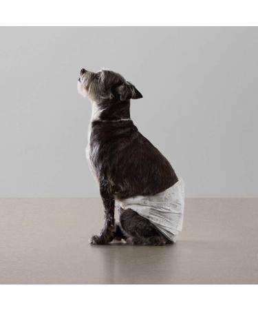 Amazon Basics Disposable Dog Diapers for Male Dogs - Small (30-Pack) | Premium Absorbency & Comfort - Buy Online on GoSupps.com