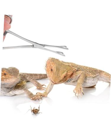 BESPORTBLE Reptile Feeding Clip Cricket Feeder Aquarium Tongs Extra Long Stainless Steel Silver - Buy Online on GoSupps.com