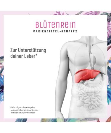 Buy Mary Distulum Artichoke Dandelion Capsules - 200mg Liver Complex with 80% Silymarin | Supports Liver Function | 120 Capsules - International Shipping Available - Buy Online on GoSupps.com