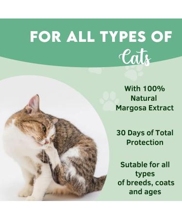 Disane Natural Anti-Parasite Pipettes for Cats | 2 Units for 2 Months | Safe Flea Tick & Mosquito Protection | Non-Toxic Formula - Buy Online on GoSupps.com