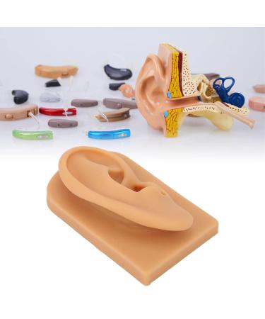 Soft Silicone Ear Model for Piercing Practice and Jewelry Display - Buy Online on GoSupps.com