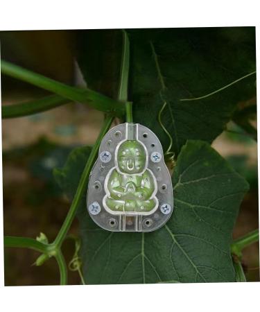 Toddmomy Vegetable Growing Mold 4pcs Fruit Mold Plastic 3D Accessories Cucumber Pumpkin Mold - Buy Online on GoSupps.com