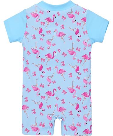 HUAANIUE Baby Girls Short Sleeve One Piece Swimsuit | UPF 50+ Sun Protection | 6-12 Months | Light Blue - Buy Online on GoSupps.com
