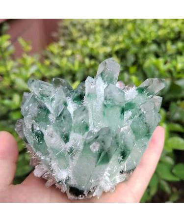 Natural Crystal Rough 1pc Natural Green Phantom Quartz Crystal Cluster Stone Ornaments 300G-900G for (Color : 1pc810g-900g Size : 1PC) 1PC 1pc810g-900g - Buy Online on GoSupps.com