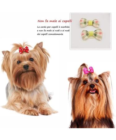 Voarge 50-Piece Dog & Cat Hair Accessories Set - Hairpins & Clips with Elastic Loop - Perfect for Pets Worldwide - Buy Online on GoSupps.com