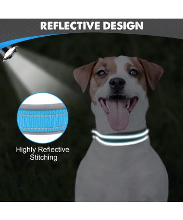 Joytale Baby Blue Dog Collar - Softly Padded Neoprene Nylon Reflective Collar for Small Dogs | 1 Pack - Buy Online on GoSupps.com