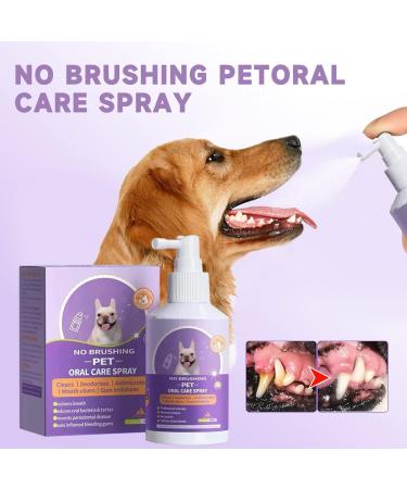 2PCS Pet Clean Teeth Cleaning Spray Pet Teeth Cleaning Spray Teeth Cleaning Spray for Dogs Pet Oral Spray Clean Teeth Pet Breath Freshener Oral Spray Pet Oral Spray Pet Oral Spray Clean Spray Petry Teeth Cleaning Spray Petry Oral Spray for Dogs & Cats - Buy Online on GoSupps.com