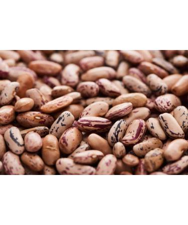 Goya Pinto Beans 2 Pack - 32 oz/2 lbs - Frijoles Pintos - Buy Online on GoSupps.com