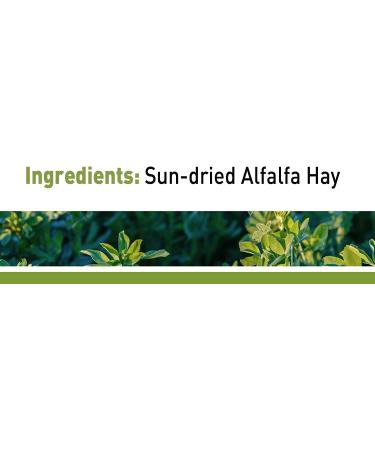 Living World Alfalfa Chews - 16-Ounce | Natural Guinea Pig & Rabbit Treats - Buy Online on GoSupps.com