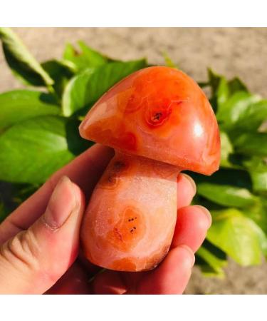 Natural Crystal Rough Crystals Stones 2 INCHES Natural Agate Quartz Carved Carnelian Crystal Mushroom Stone 1PC (Color : Light Grey Size : 10pc) 10pc Light Grey - Buy Online on GoSupps.com