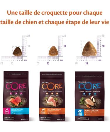 Wellness Core Ocean Natural and Grain-Free Large and Medium Dog Food Salmon/Tuna 10 kg - Buy Online on GoSupps.com