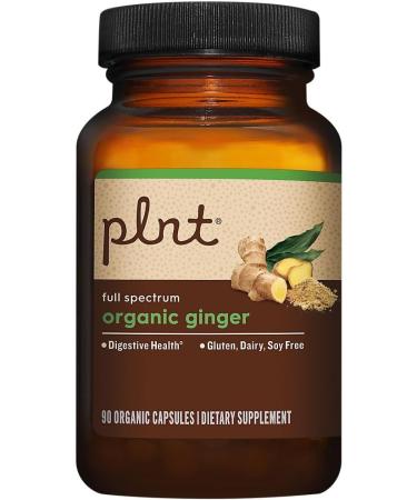 plnt Organic Ginger for Digestive Health Support - 500 MG (90 Capsules) - Buy Online on GoSupps.com