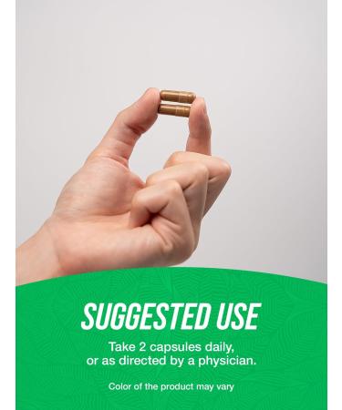 BulkSupplements.com Marshmallow Root Extract Capsules - Herbal Supplement Marhmallow Root 1200mg - Gluten Free 2 Capsules per Serving 240 Count (Pack of 1) - Buy Online on GoSupps.com