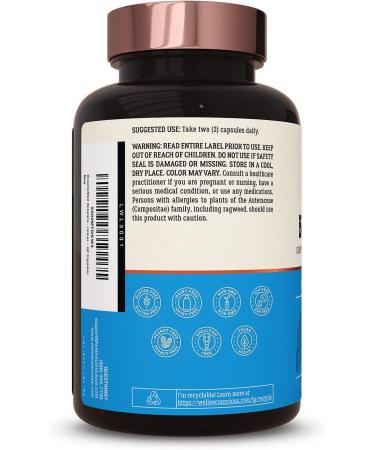 BreatheWell Botanical Respiratory Immune Supplement with Echinacea Elderberry Zinc - 60 Capsules - Buy Online on GoSupps.com