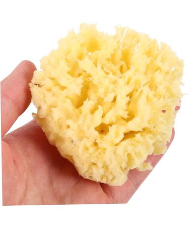 Exfoliating Honeycomb Sea Bath Ball | Natural Body Scrub & Shower Accessory | International Shipping Available - Buy Online on GoSupps.com