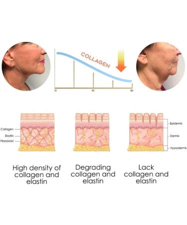 DUBUSH Japan Neck Collagen Whitening Cream Neck Hydrolyzed Collagen Neck Cream Dark Spot Repair Cream Dark - Buy Online on GoSupps.com