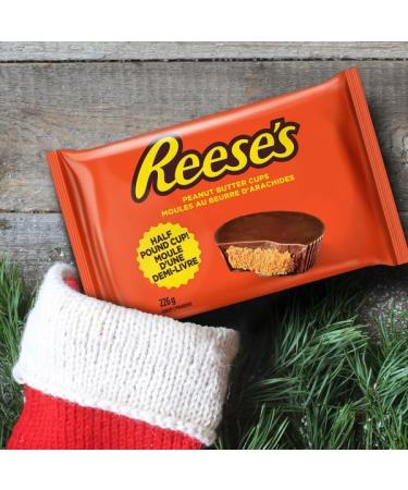 Reese's Half Pound Chocolate Peanut Butter Cup Holiday Candy Good Candy to Share Candy for Kids 226g (Pack of 1) Reese's Half Pound Cup - Buy Online on GoSupps.com