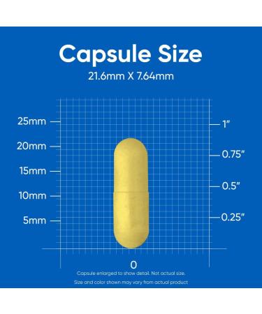 Nutricost High Potency Vitamin B Complex 462mg 120 Capsules - with Vitamin C - Energy Complex 120 Count (Pack of 1) - Buy Online on GoSupps.com