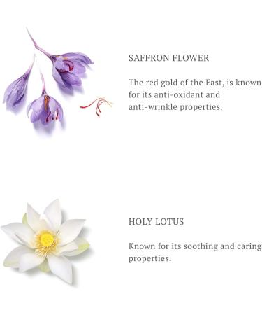 RITUALS The Ritual of Namast Radiance Anti-Aging Day Cream Light Day Cream 50 ml - Buy Online on GoSupps.com