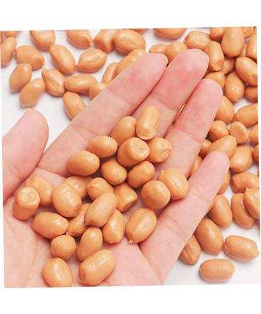 ABOOFAN 5pcs 1 Educational Peanut Prop Peanut Kernels Prop Food Toy Lifelike Peanut Artificial Peanut Kernels Peanut Model Fake Nut Ornament Kitchen Realistic Food Play Decoration Fake Pvc - Buy Online on GoSupps.com