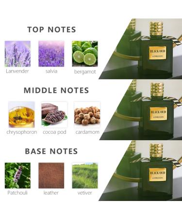 Black Oud - Fragrance for Men - Woody and Intense Scent - Perfume Notes of Lavender Bergamot Agarwood Cardamom Patchouli Leather - Long Wearing Aromatic Projection - 3.4 oz EDT Spray - Buy Online on GoSupps.com