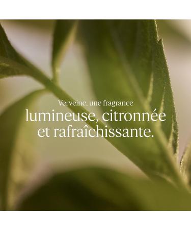 L'OCCITANE - Liquid Soap - Made in France - Buy Online on GoSupps.com